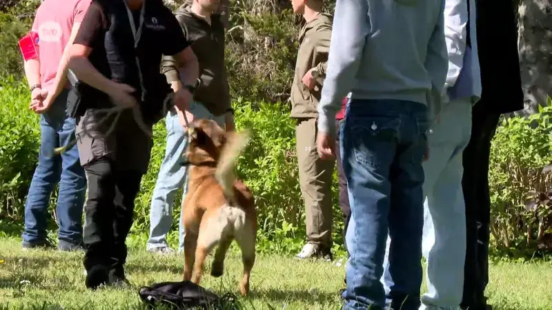 Hoofdafbeelding voor artikel Vier jongeren opgepakt bij…