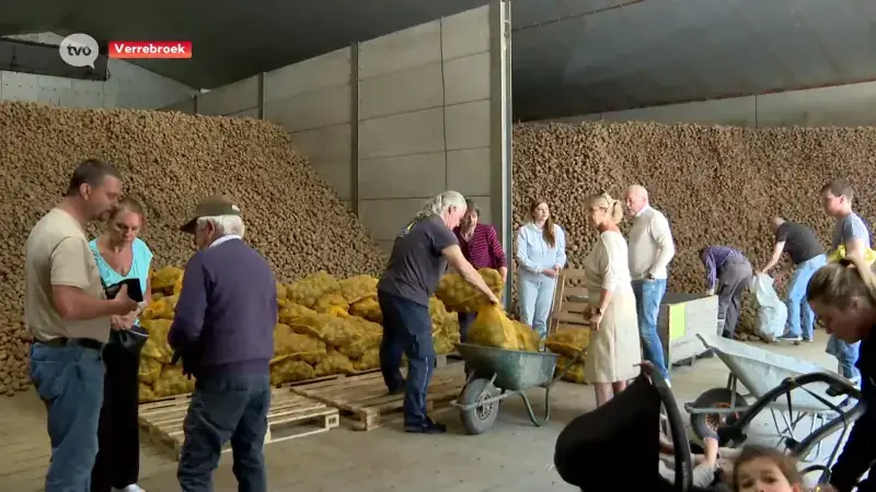 Overrompeling bij uitverkoop aardappelboer Tomas in Verrebroek: "We moeten onze boeren helpen"