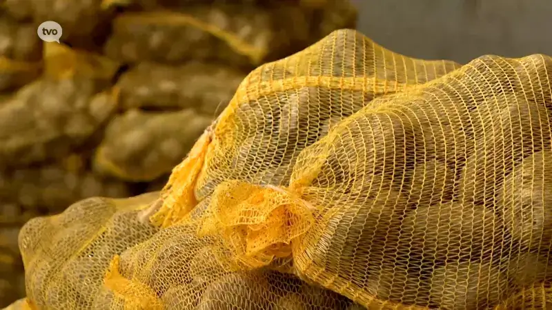 TV Oost Nieuws van zaterdag 25/04/2026