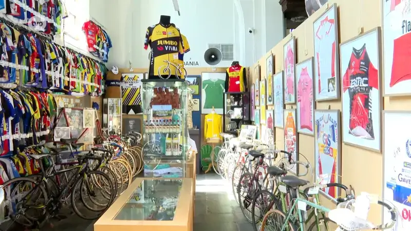Hoofdafbeelding voor artikel Tintrio Omloop het Waasland…