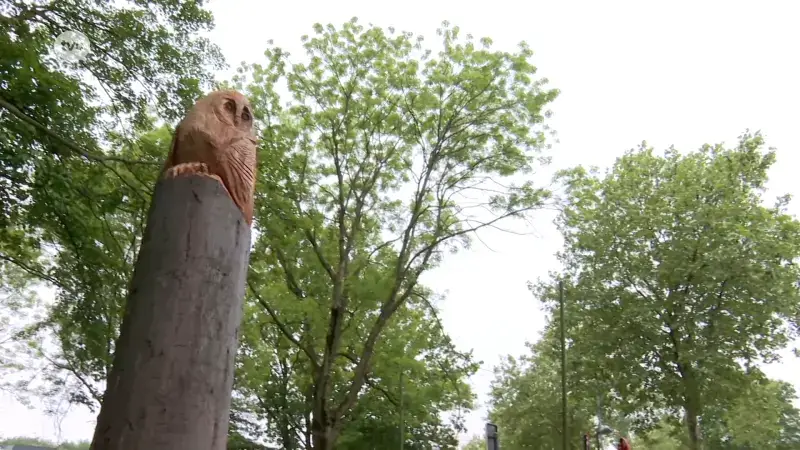Hoofdafbeelding voor artikel Twee afgeknakte bomen worden…