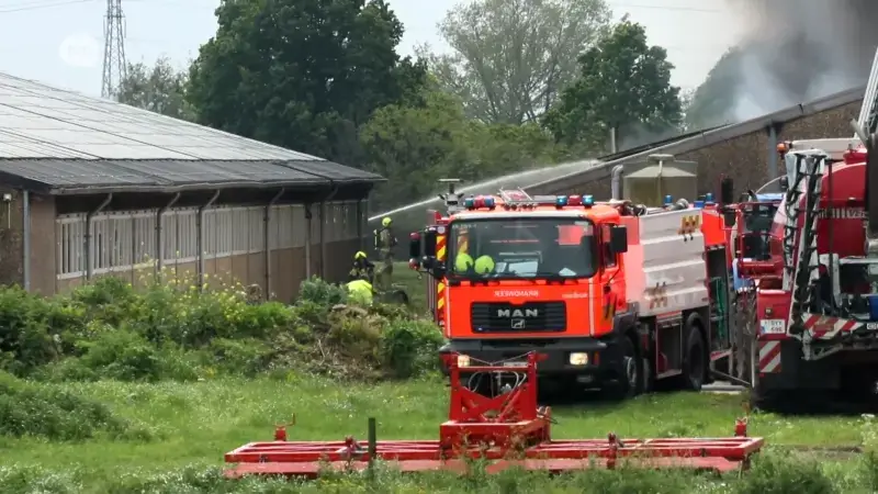 Hoofdafbeelding voor artikel Zware brand legt varkensstal…