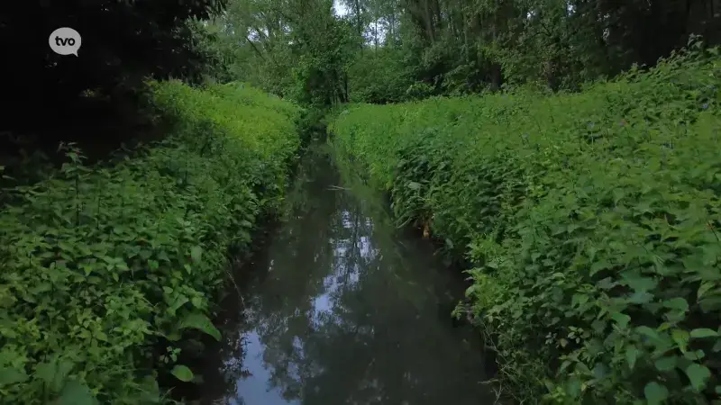 Hoofdafbeelding voor artikel Ondanks regen toch droogte-alarm:…