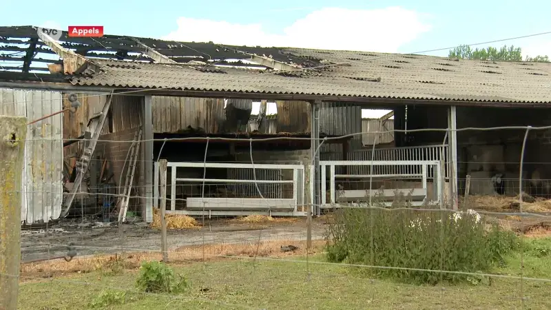 Hoofdafbeelding voor artikel Boerderij in Appels brandt…
