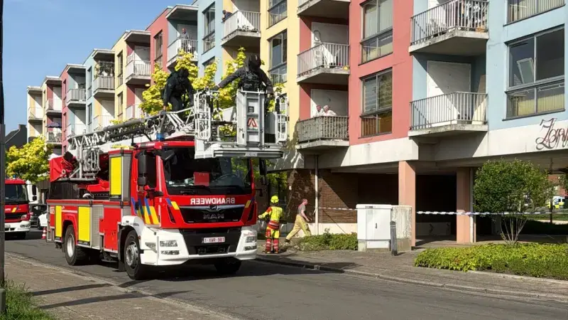 Hoofdafbeelding voor artikel Man verschanst zich in Dendermonde,…