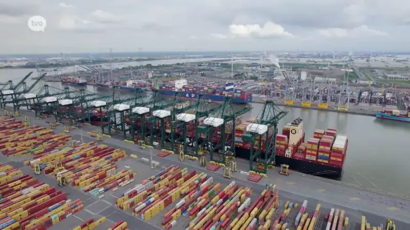 Hoofdafbeelding voor artikel Jaarverslag Maatschappij Linkerscheldeoever…