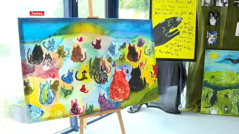 Reizende expo met foto's en schilderijen van zwerfkatten in bibliotheek Temse