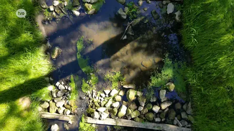 TV Provincie: Droogte en waterschaarste: hoe houden we Oost-Vlaanderen weerbaar?
