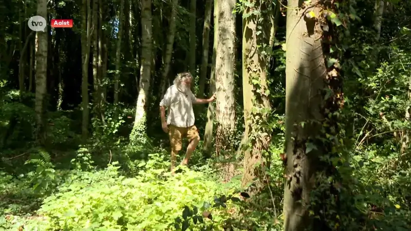 Hoofdafbeelding voor artikel Tientallen bomen beschadigd…