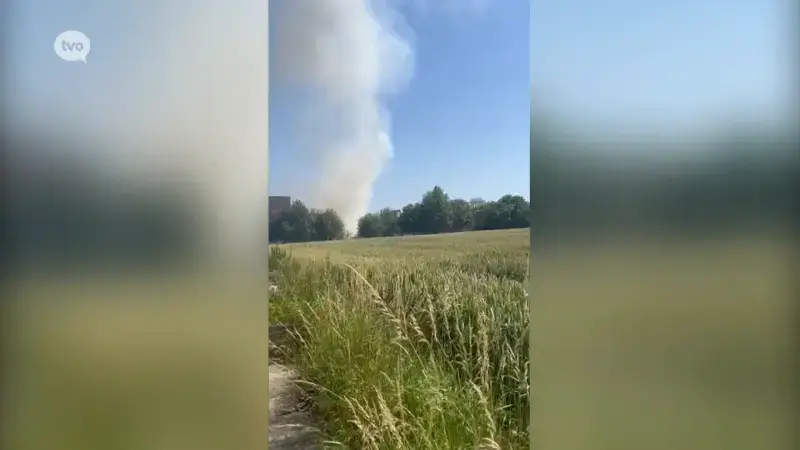 Hevige brand op landbouwbedrijf in Borsbeke