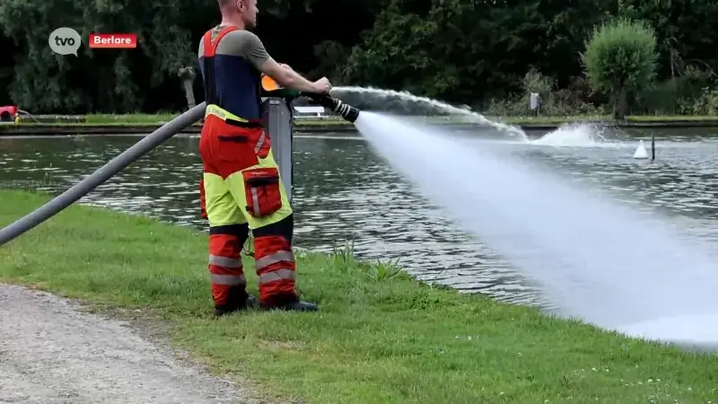 Vissterfte op Donkmeer in Berlare: brandweer pompt extra zuurstof het water in