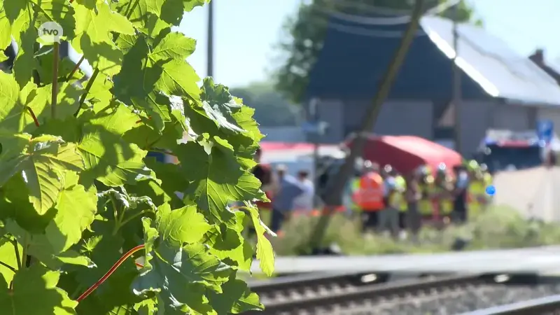Politie verhoort alle overlevende tieners van busdrama Buggenhout