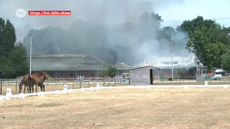 Twee paarden komen om bij hevige stalbrand in Nederlands Clinge, brandweerploegen Waasland ondersteunden
