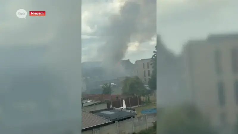 Woning en handelszaak branden helemaal uit: negen dieren omgekomen bij brand in Idegem, amper één kat kan gered worden