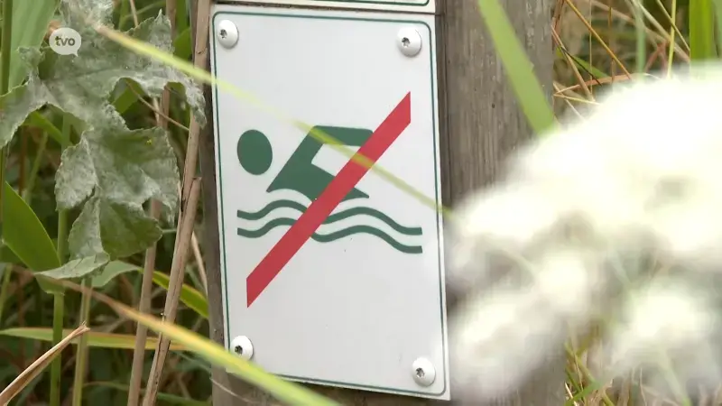 Hoofdafbeelding voor artikel Toegestaan openwaterzwemmen…