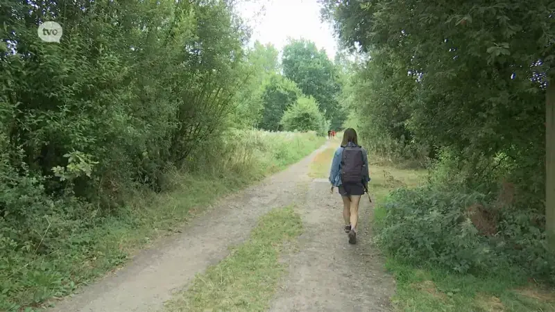 Meerdaagse wandelingen in de lift in Vlaamse Ardennen