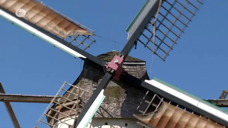 Hoofdafbeelding voor artikel Fauconniersmolen in Oordegem…