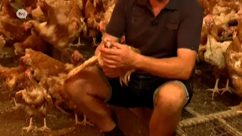 Hoofdafbeelding voor artikel TV Oost Nieuws van donderdag…