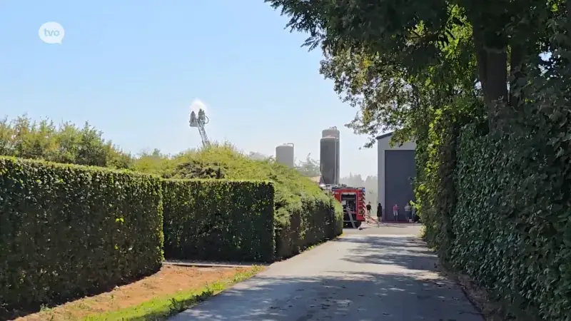 Landbouwers en brandweer voorkomen veel erger bij brand in varkensstal in Eksaarde