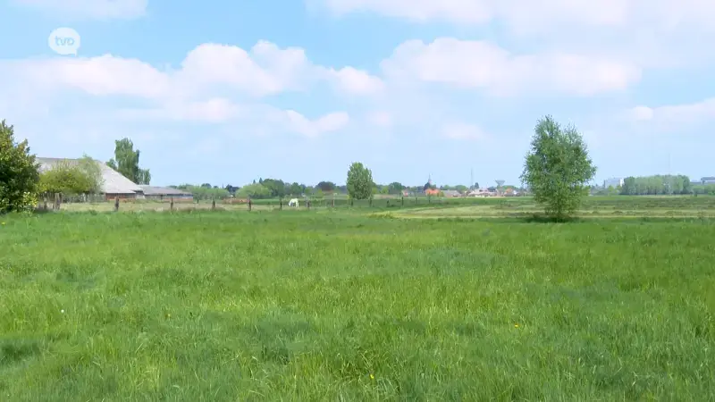 Hoofdafbeelding voor artikel Vierpartijenakkoord maakt…