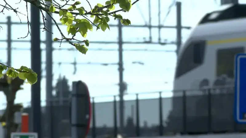 Hoofdafbeelding voor artikel NMBS breidt treinaanbod uit…