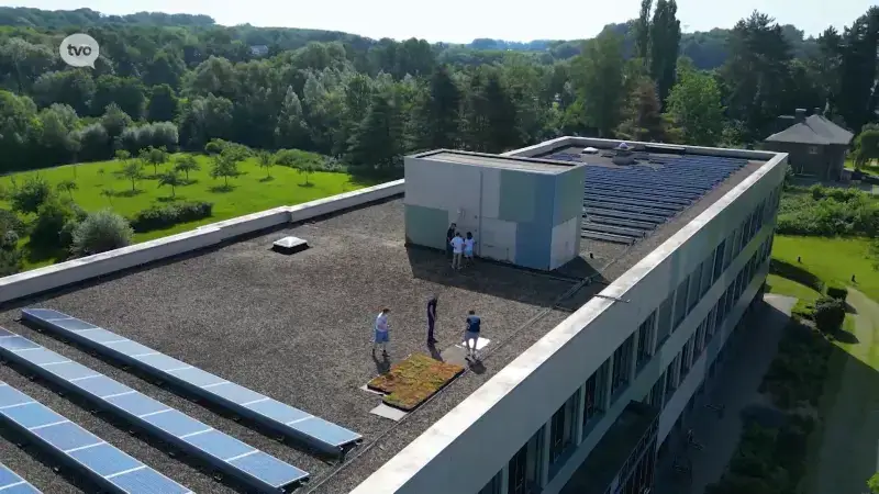 TV Provincie: Klimaatdaken op scholen