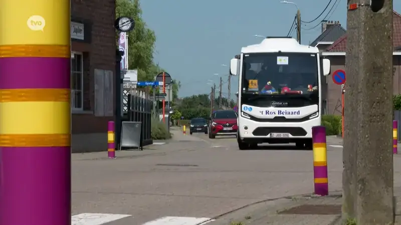 Hoofdafbeelding voor artikel Opnieuw buschauffeur van 't…