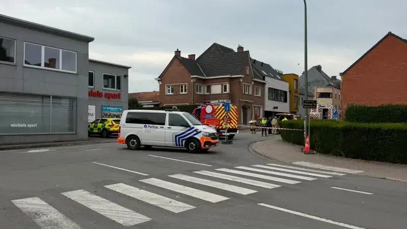Hoofdafbeelding voor artikel Station van Zottegem en omgeving…