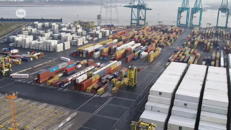 Hoofdafbeelding voor artikel Al 55 medewerkers van de Antwerpse…