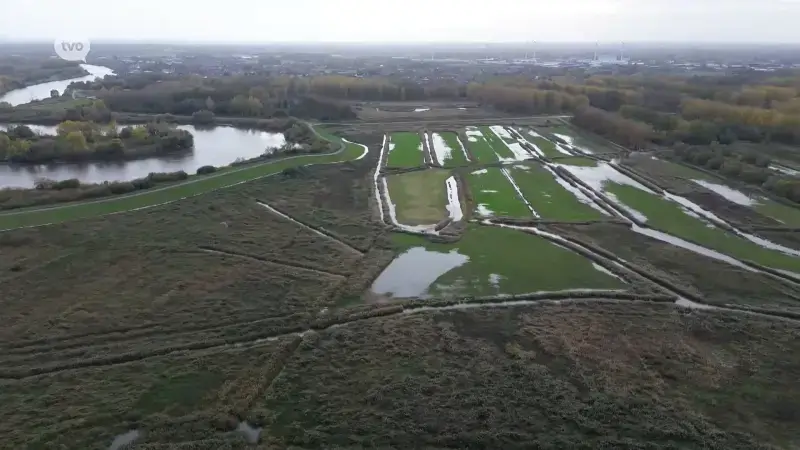 Hoofdafbeelding voor artikel Scheldedijk en overstromingsgebied…