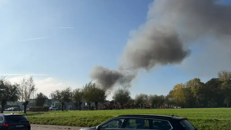 Hoofdafbeelding voor artikel Hevige brand in loods in Melsele,…
