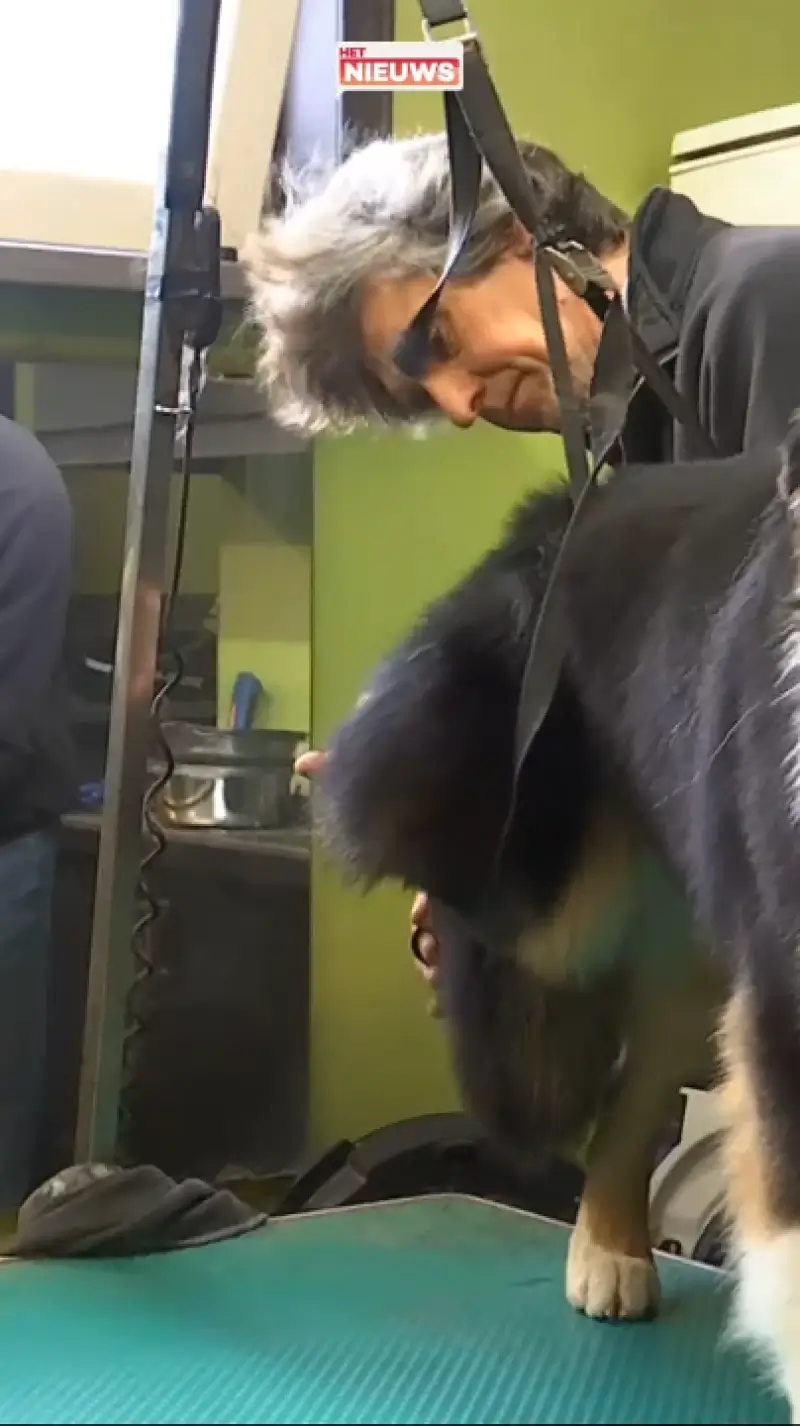 Man uit Vrasene verliest 125.000 euro door phishing, fraudelijn van bank moeilijk te bereiken