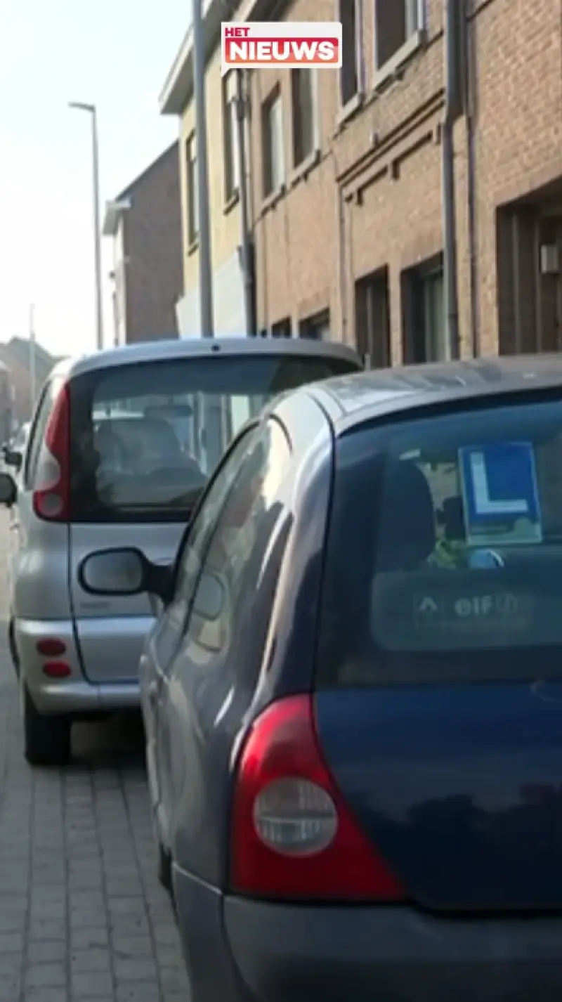 Politie vat inbrekers in Dendermonde