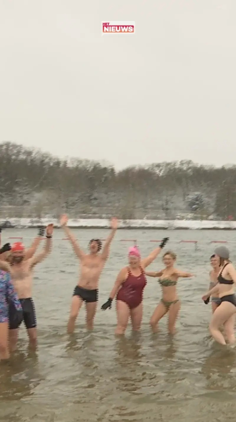 Moedige watertest voor 15de Ijsberenduik deze zondag in De Ster in Sint-Niklaas