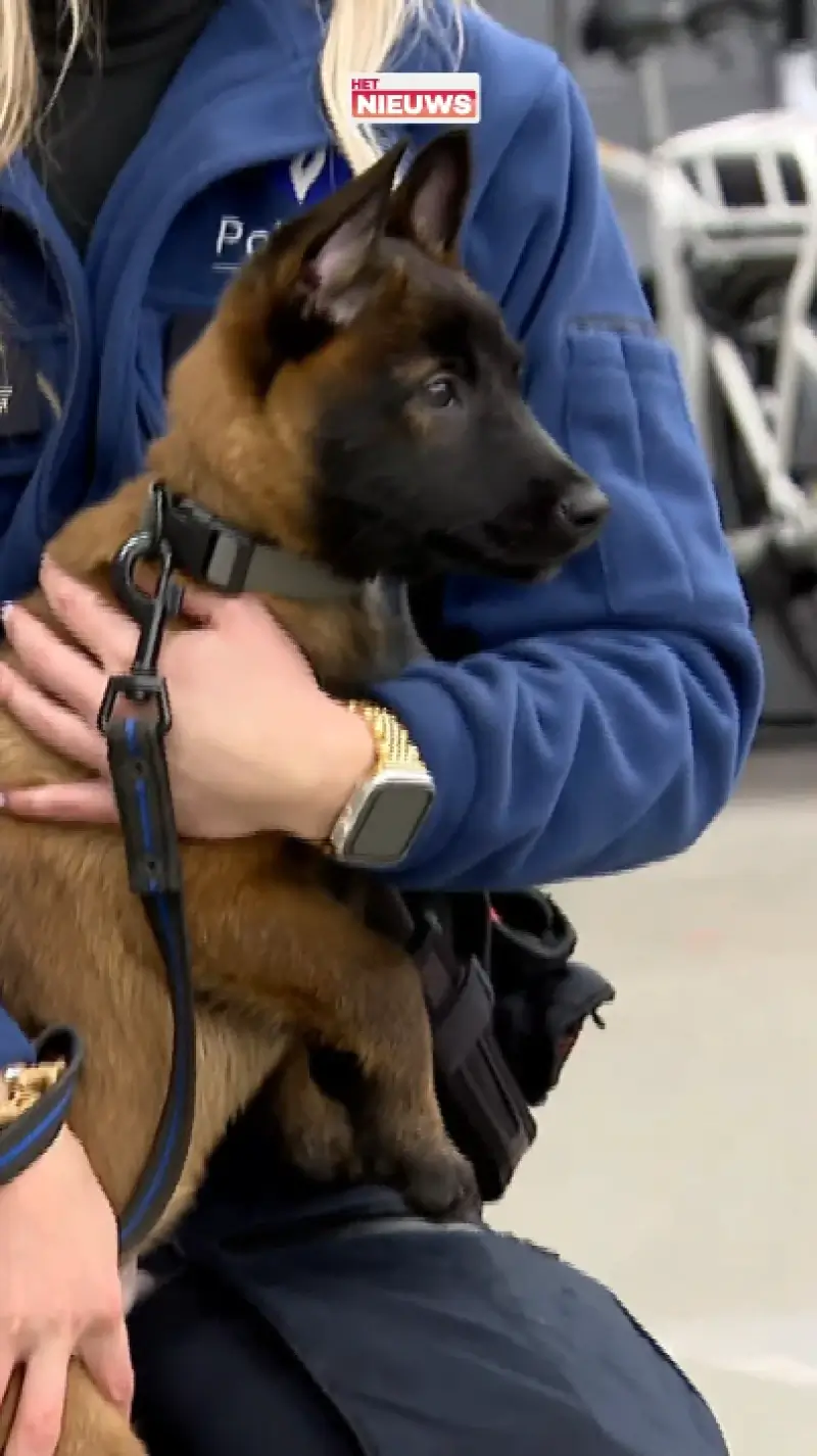 Politiekorps Aalst: "Puppy Sniper moet snel zijn grote broer Speed opvolgen”