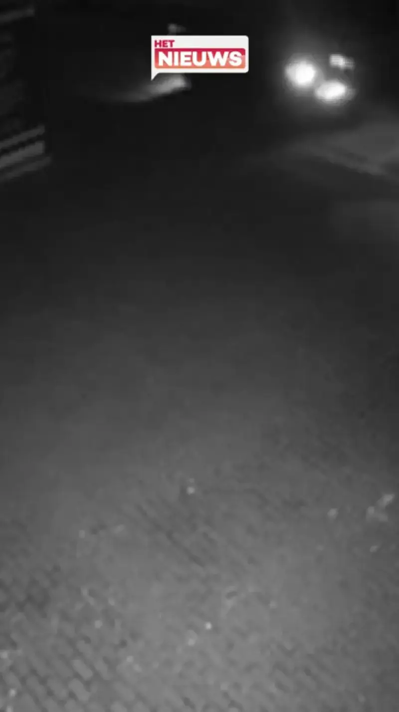 Auto van Nicolas uit Sint-Lievens-Houtem gestolen op de oprit: "Auto staat intussen internationaal geseind"